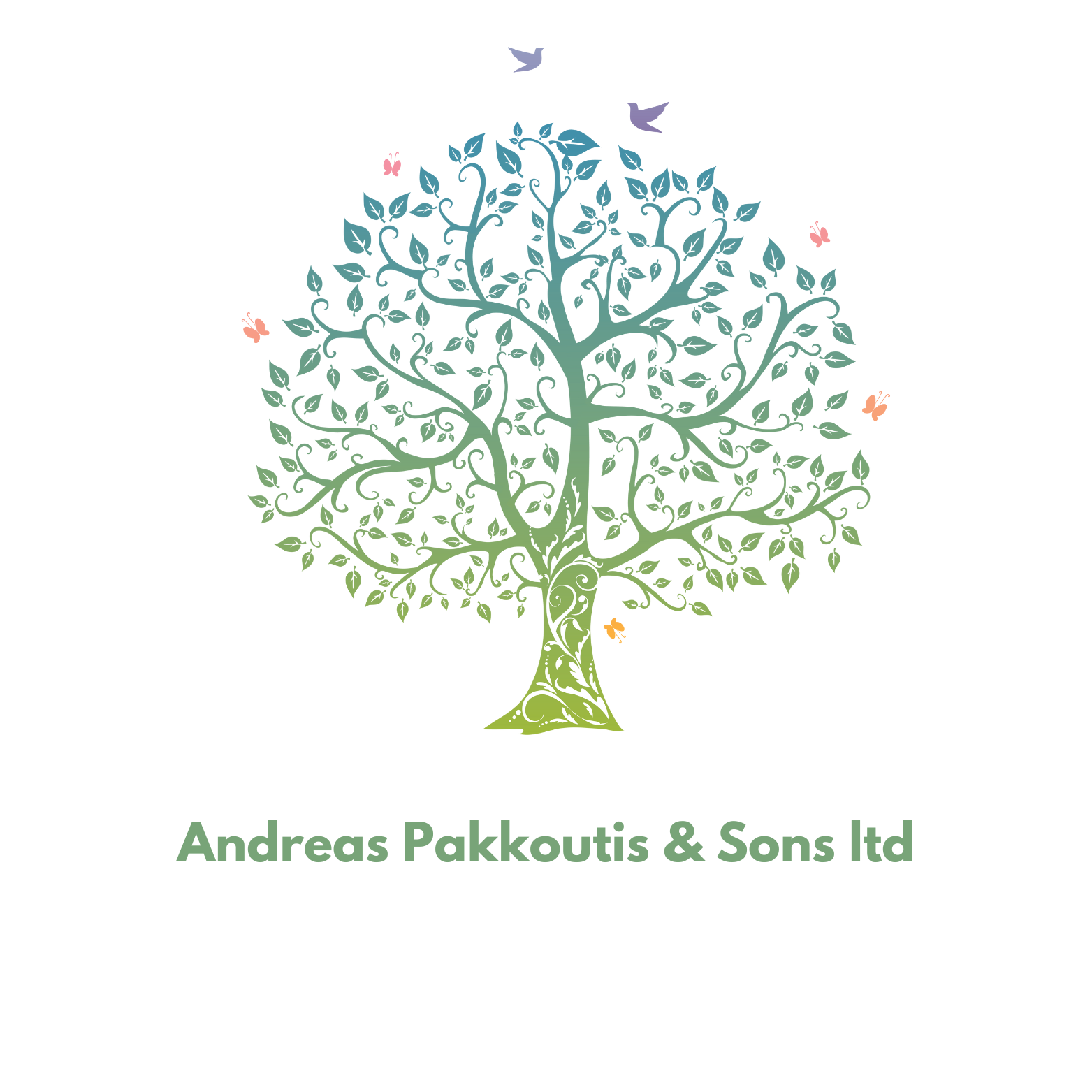 Andreas Pakkoutis & Sons Ltd
